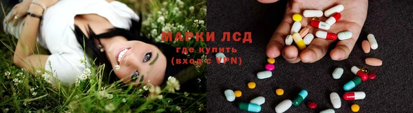 трава Алзамай