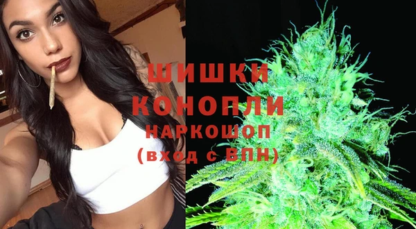 гашик Россошь