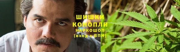 трава Алзамай