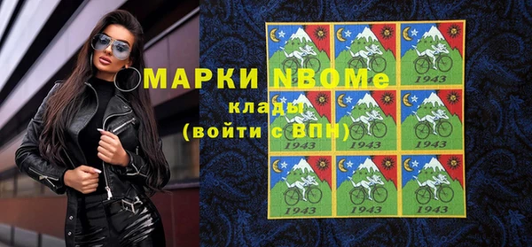 мдпв Алексин