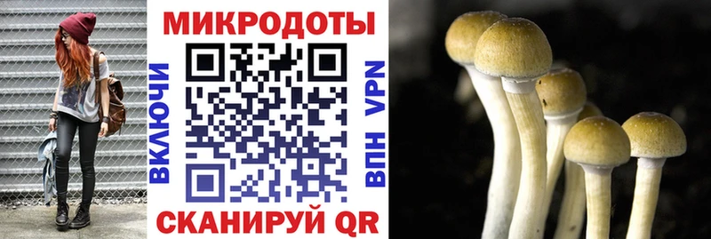 цены   Краснознаменск  Псилоцибиновые грибы Psilocybe 