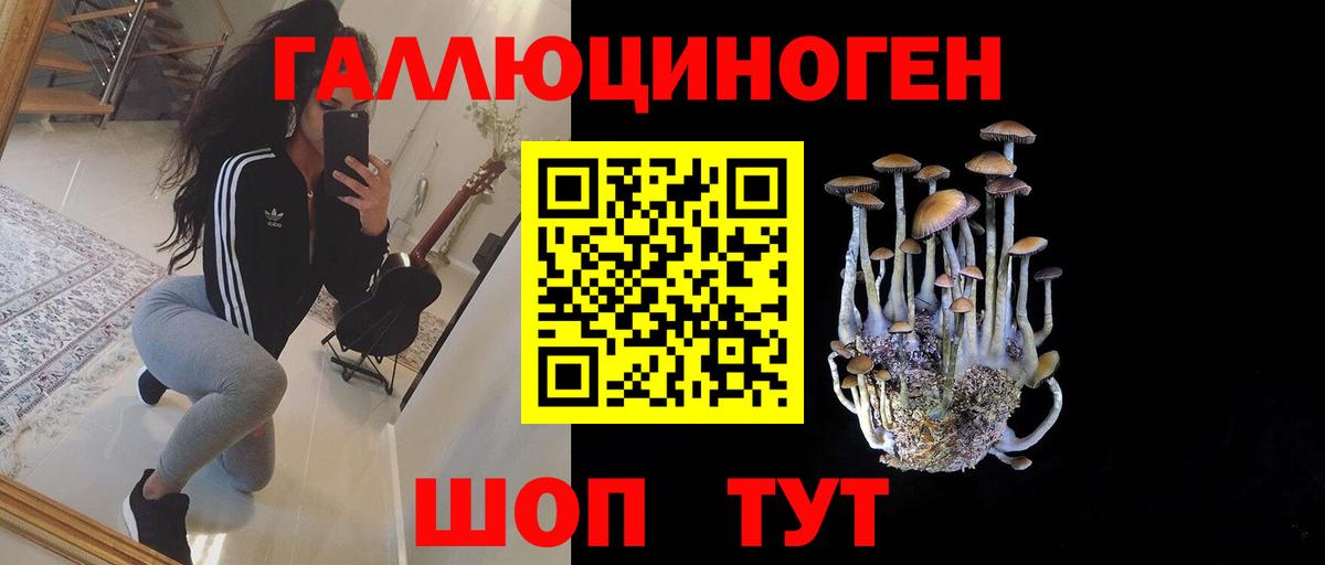 Псилоцибиновые грибы прущие грибы Краснознаменск