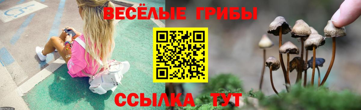 Псилоцибиновые грибы MAGIC MUSHROOMS  Вход с VPN  наркошоп  Псилоцибиновые грибы мухоморы  Краснознаменск 
